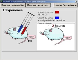 cliquer pour agrandir